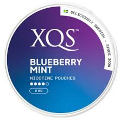 Xqs Blueberry Mint 8Mg/Pouch 20'S 10 - Image 1