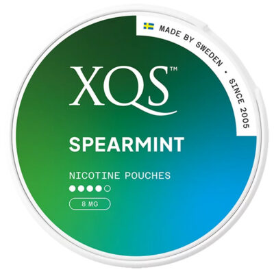 Xqs Spearmint 8Mg/Pouch 20'S 10 - Image 1